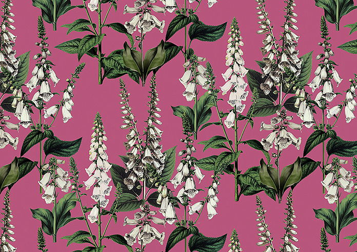 Foxcote, Cosmos - Made to Measure Curtains - Image 8